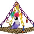 Super-Bird-Creations-SB747-Mini-Flying-Trapeze-Bird-Toy-Small.jpg