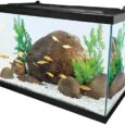 Tetra-Aquarium-20-Gallon-Complete-Tropical-Fish-Tank-Kit-with.jpg