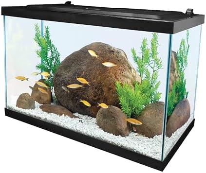 Tetra Aquarium, 20 Gallon, Complete Tropical Fish Tank Kit with LED Lighting for Freshwater Fish