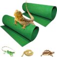 Tfwadmx-Reptile-Carpet-2-Pack-of-Bearded-Dragon-Mat-Terrarium.jpg