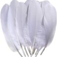 TommoT-100-Pcs-6-8-Inch-Natural-Large-White-Goose-Feathers.jpg
