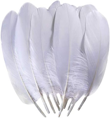 TommoT 100 Pcs 6-8 Inch Natural Large White Goose Feathers for Dream Catcher Crafts and Clothing Decoration