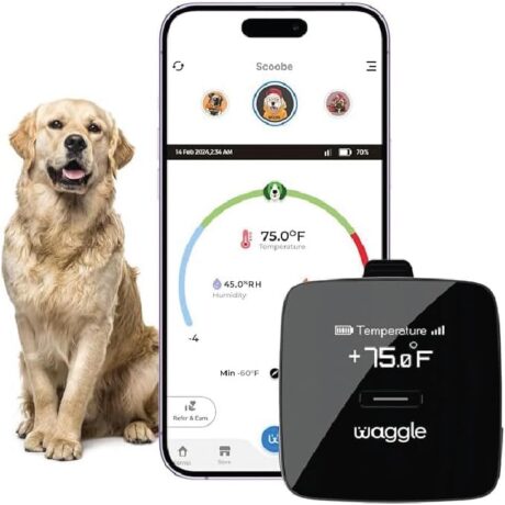 Waggle RV/Pet Safety Temperature Monitor - Lite | 4G LTE | Instant Power Outage/Temp/Humidity Alerts for RVers & Home