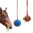 gofidin-2pcs-Equine-Horse-and-Pony-Treat-Ball-Goat-Hay.jpg