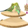 2-Pack-Bird-Perch-Platform-Parrot-Stand-Sector-Playground-Wood.jpg
