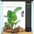 Betta-Fish-Tank-2-Gallon-Glass-Aquarium-Starter-Kit-Small.jpg