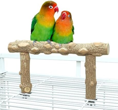 Bird Perch Stand, Bird Cage Top Perch Gym,Natural Wood Parrot Branch for Small Medium Large Parrot (S)