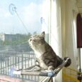 Cat-Bed-Window-Cat-Window-Hammock-Window-Perch-Safety-Cat.jpg