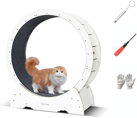 Cat Exercise Wheel,PETPNR Cat Wheels for Indoor Cats,39" H Large Easy Assembled Cat Treadmill Wheel with Locking Mechanism, Ultra-Quiet Running for Cat‘s Healthy