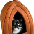 Cat-House-Indoor-Cat-Bed-with-Removable-Foam-Cushion.jpg
