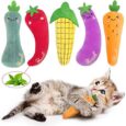 Catnip-Cat-Toys-Interactive-Cat-Chew-Toys-for-Indoor-Kittens.jpg