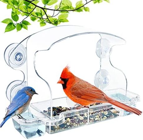 ClearView Deluxe Window Bird Feeder – Unobstructed View with Water, Modern Design with Birds’ Health in Mind, 4 Strong Suction Cups, Dishwasher-Safe