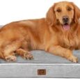 EHEYCIGA-Orthopedic-Dog-Beds-Large-Sized-Dog-Waterproof-Memory-Foam.jpg