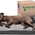 Furhaven-Orthopedic-Dog-Bed-for-LargeMedium-Dogs-w-Removable-Bolsters.jpg