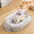 Human-Dog-Bed-71x47x125-Dog-Bed-for-Humans-Size.jpg