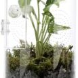 Jumping-Spider-Enclosure-11566-Air-Hole-364-Micro-Habitat-Terrariums.jpg