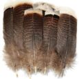 LUORNG-Natural-Turkey-Feather-20PCS-15-20cm59-787inch-Precious-Turkey-Tail-Feathers.jpg