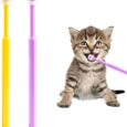 Mozeat-Lens-Small-Cat-Dog-Toothbrush-2-Pack-360.jpg