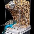 No-Mess-Bird-Cage-Feeder-Automatic-Acrylic-Parrot-Feeder-Bird.jpg