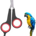 Pet-Nail-Clippers-Bird-Nail-Clippers-Pet-Bird.jpg