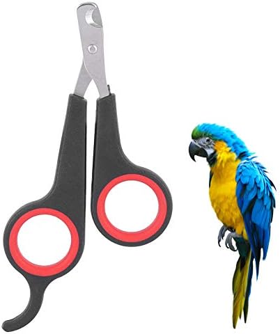 Pet Nail Clippers , Bird Nail Clippers , Pet Bird Parrots Small Animals Accessory Grooming Tool Nail Scissors Clipper For Parrots Birds Black And Red