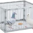 Pigeon-Trap-with-Escape-Proof-DesignBirds-Trap-with-One-Way-EntryChicken-and.jpg