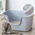 Smart-Paws-Extra-Large-Jumbo-Cat-Litter-Box-for-Maine.jpg