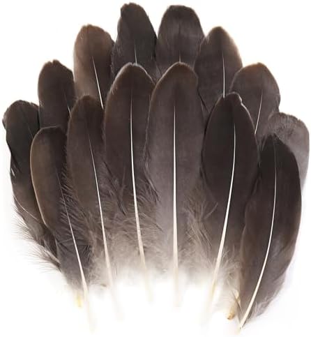 THARAHT 120pcs Natrual Gray Natrual Goose Feathers Natural Bulk 6-8 inch 15-20cm for Crafts DIY Cosplay Wedding Party Halloween Decoration Goose Nagoire Feathers
