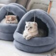 Tempcore-Cat-Bed-for-Indoor-Cats-Machine-Washable-Cat-Beds.jpg
