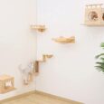 Wall-Mounted-Cat-Shelves-Wood-Cat-Wall-Furniture-Set-for.jpg