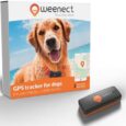 Weenect-Dog-XS-New-GPS-Tracker-for-Dogs.jpg