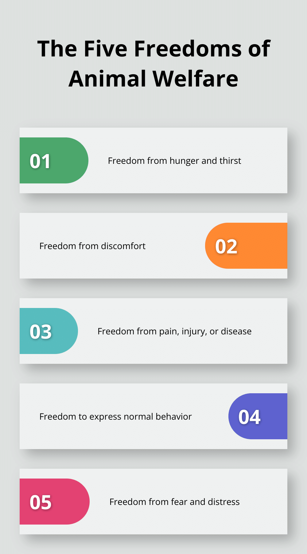 Chart listing the Five Freedoms framework for animal welfare: freedom from hunger and thirst, freedom from discomfort, freedom from pain, injury, or disease, freedom to express normal behavior, and freedom from fear and distress. - animal welfare vs animal rights