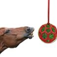 WishLotus-Hay-Feeder-Ball-Horse-Treat-Ball-Hanging-Hay-Feeder.jpg