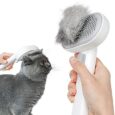 aumuca-Cat-Brush-for-Shedding-Cat-Brushes-for-Indoor-Cats.jpg