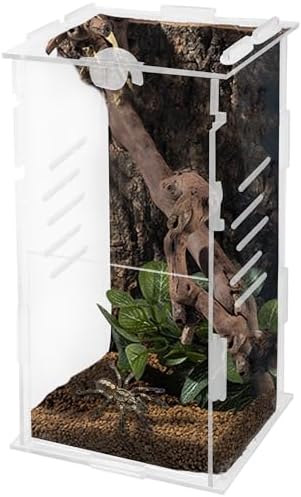 winemana Small Reptile Jumping Spider Terrarium Enclosure, 4" x 4" x 8" Acrylic Mini Transparent Feeding Tank Micro Habitat Box for Tarantula Small Tree Dwelling Reptiles Insect (Vertical)