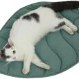 30-X-20-Inch-Leaf-Shaped-Cotton-Cat-Bed-Pad.jpg