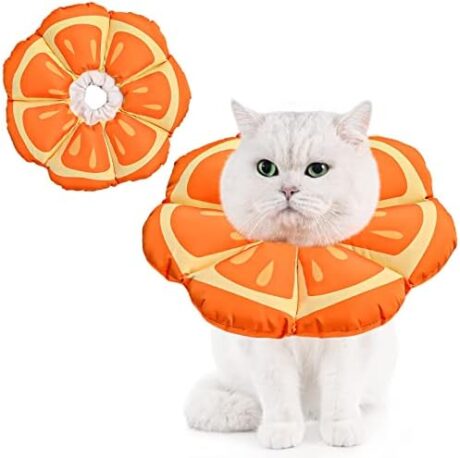Avont Cat Cone Collar Soft, Adjustable Recovery E Collar Alternative for Cats Kittens Puppies, Elizabethan Neck Cone of Shame to Prevent Licking Biting After Surgery Protect Wounds -Tangerine(M)