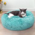 Cat-Beds-for-Indoor-Cats-Cat-Bed-Washable-2024.jpg