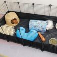 Eiiel-Guinea-Pig-Cages-for-2-with-Waterproof-Plastic-Bottom.jpg