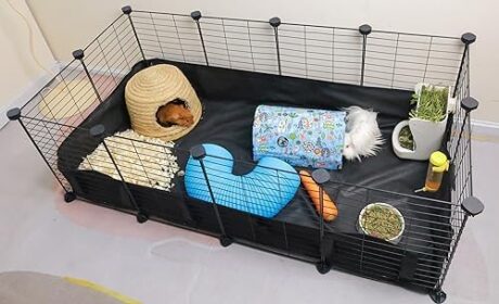 Eiiel Guinea Pig Cages for 2, with Waterproof Plastic Bottom Liner, 8 Square Feet Small Animal House,Hutch Indoor Habitat Cage,Playpen for Small Pet, Bunny, Turtle,