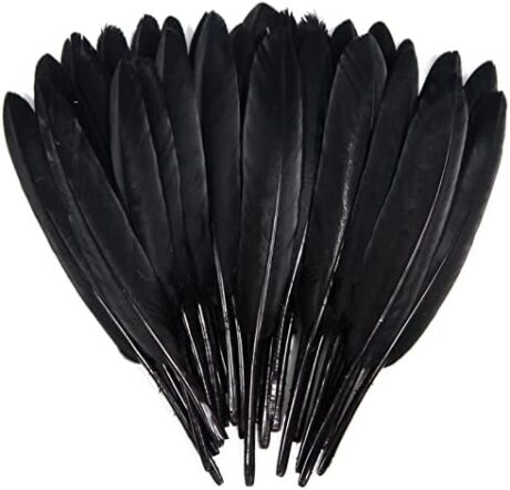 FeelfunFeather 120pcs Black Goose Cochettes Feather Natural Bulk 4-6 inch 10-15cm for Wedding Party Christmas Halloween Decorations DIY Crafts