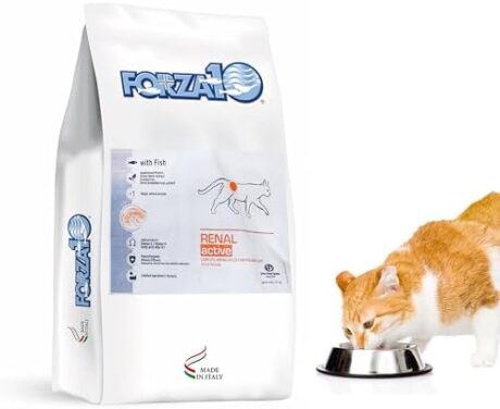 Forza10 Renal Cat Food - Kidney Care Dry Formula for Adult Cats with Heart or Kidney Issues - Renal Support Cat Food Dry with Wild Caught Anchovy - 4 Pound Bag