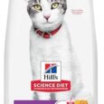 Hills-Science-Diet-Adult-11-Senior-Adult-11-Premium-Nutrition.jpg