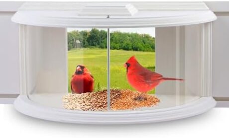 JOYSEUS Window Bird Feeder, 180° Clear View Bird Feeder, Durable and Elegant in-Window Bird Feeder for Watching Birds - Embrace The Delight of Bird Feeder.