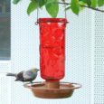 Juegoal-Glass-Wild-Bird-Waterer-28-oz-Wild-Bird-Feeder.jpg