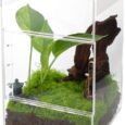 Jumping-Spider-Enclosure-Acrylic-Terrarium-Habitat-for-Spiders-Tarantulas.jpg