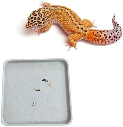 Leopard Gecko Potty Pad, Gecko Potty Latrine/Trays, Crested Gecko Leopard Gecko Litter Box, Leopard Gecko Tank Accessories, Large