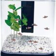 PENN-PLAX-NuWave-Betta-Fish-Tank-Kit-with-LED-Light-and.jpg