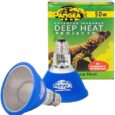 Pangea-50W-Deep-Heat-Projector-2-Pack-for-Reptiles-with-Carbon.jpg