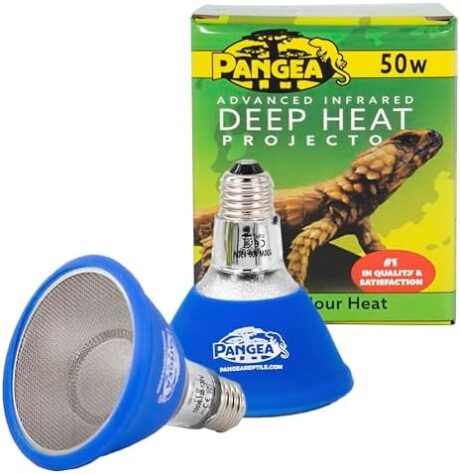 Pangea 50W Deep Heat Projector 2-Pack for Reptiles with Carbon Fiber Filament, Core Warming Infrared A and B Bulb for Basking Lizards, Designed for Ceramic Sockets (50 Watt)